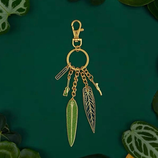 Key ring