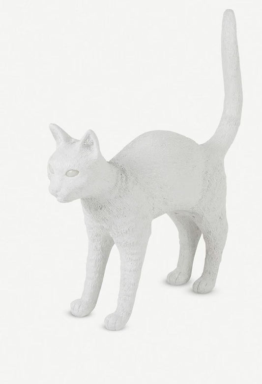 Cat lamp